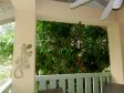 The Ohtahiti Apple Tree from the patio