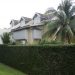 Vines (Wall)