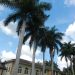The Royal Palms
